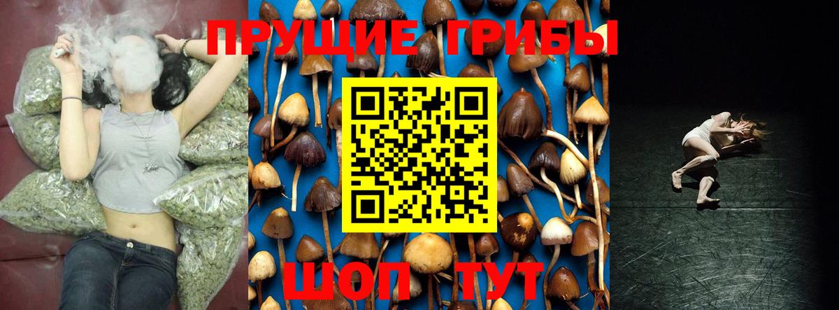 Галлюциногенные грибы Magic Shrooms Туапсе