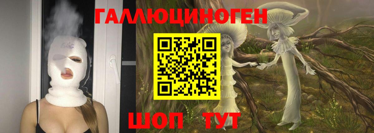 Галлюциногенные грибы Psilocybe  Вход с VPN  Туапсе 